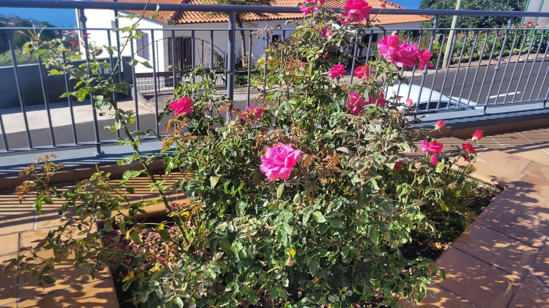 בית נופש הוילה קלייטה Linda Paisagem פורטוגל